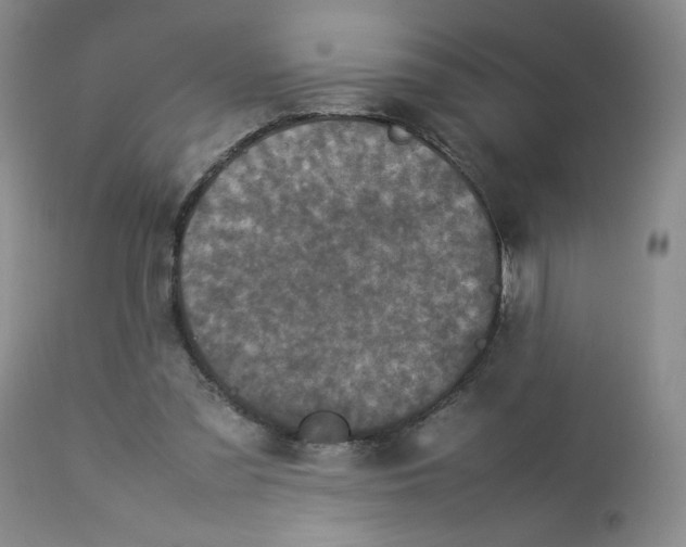 X0000112850301200909111451