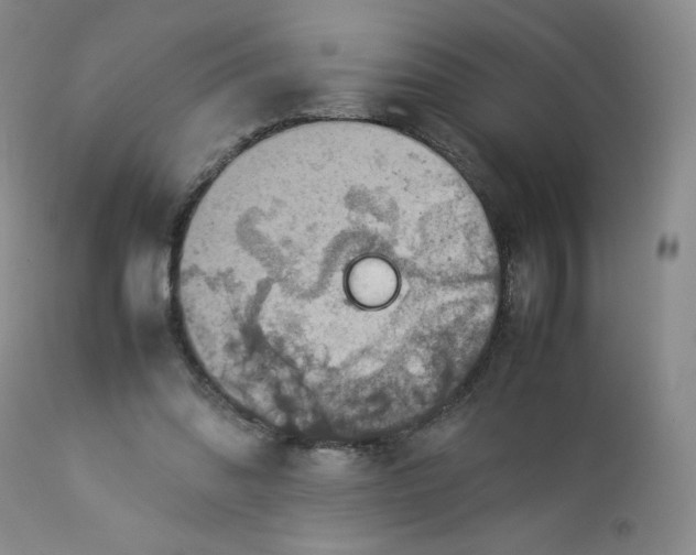 X0000112850302200909111451