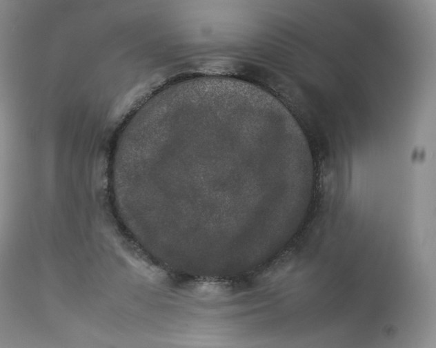 X0000112850303200909111451