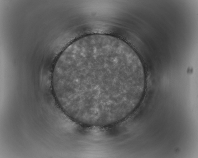 X0000112850305200909111451