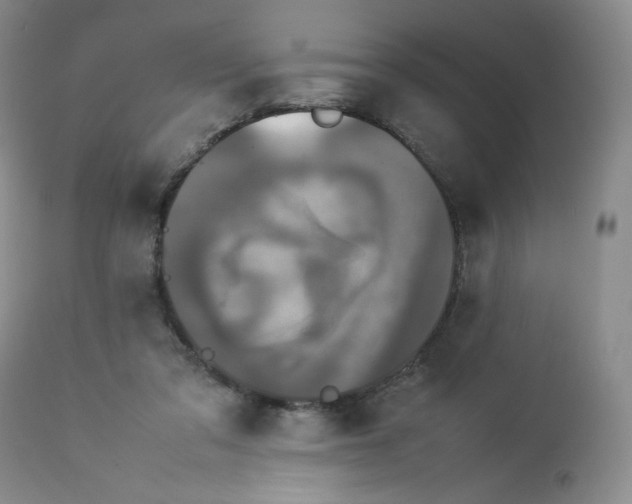 X0000112850309200909111451