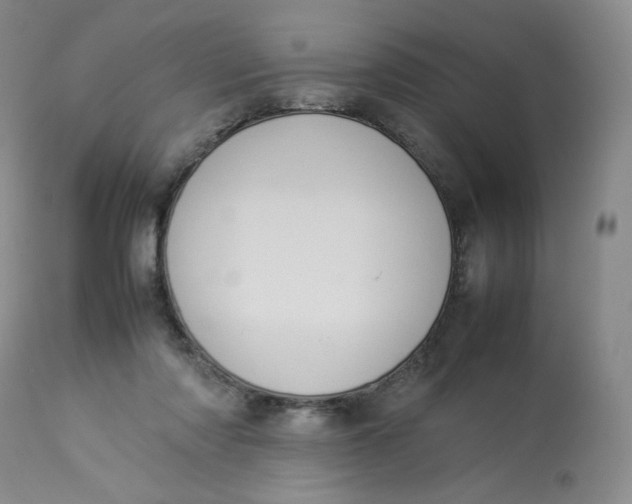 X0000112850310200909111451