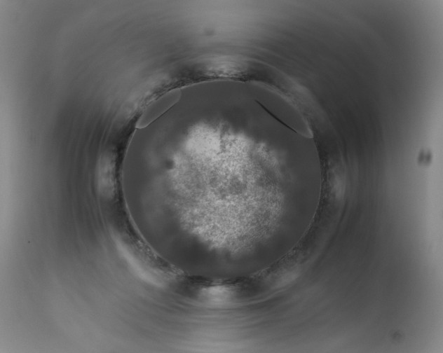 X0000112850312200909111451