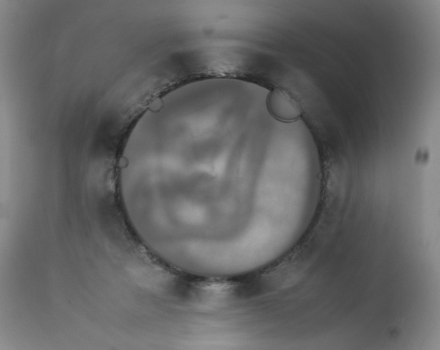 X0000112850313200909111451