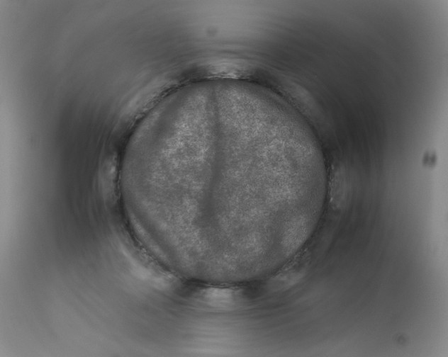 X0000112850314200909111451