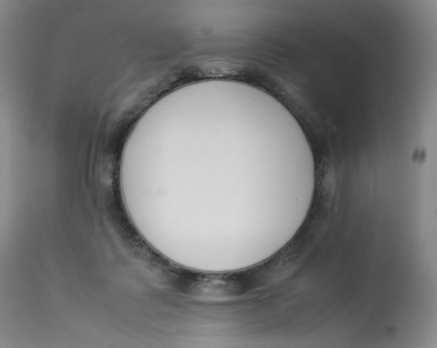 X0000112850315200909111451