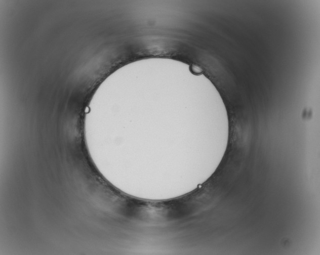 X0000112850317200909111451