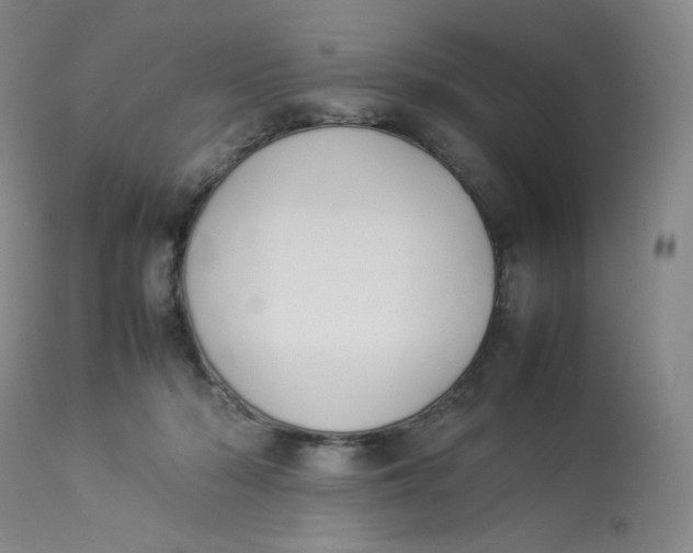 X0000112850318200909111451