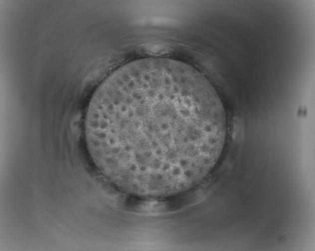 X0000112850319200909111451