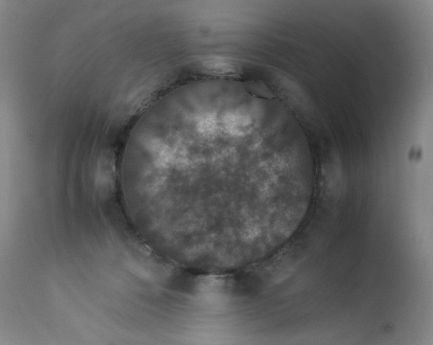 X0000112850320200909111451