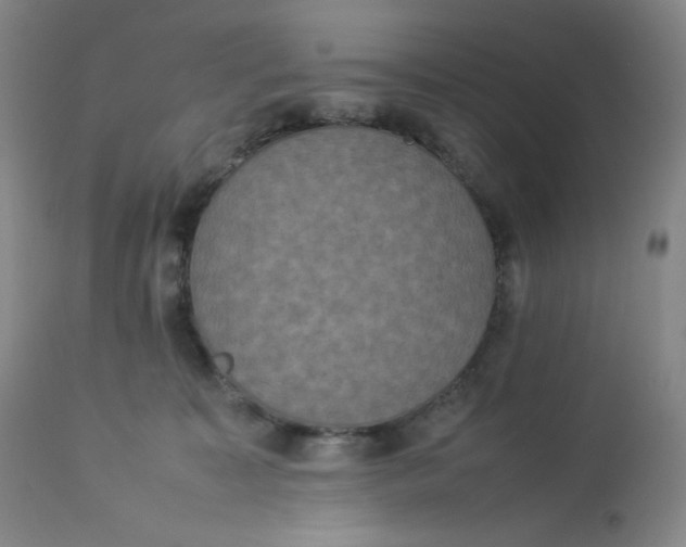 X0000112850323200909111451