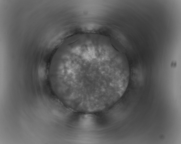 X0000112850324200909111451