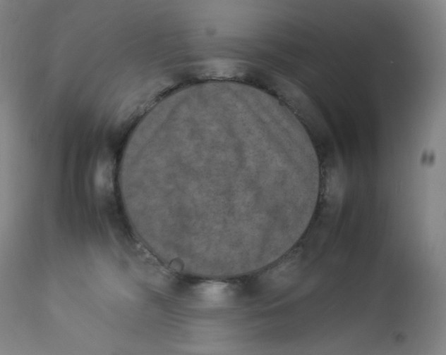 X0000112850326200909111451