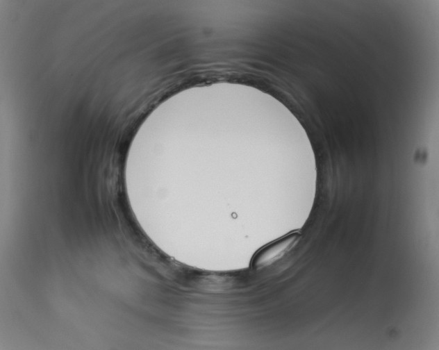 X0000112850328200909111451