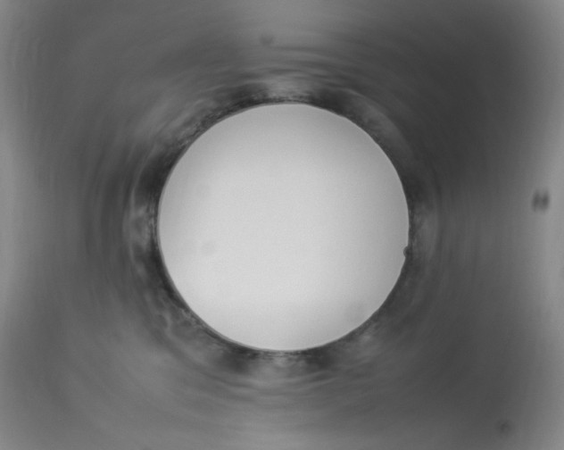 X0000112850329200909111451