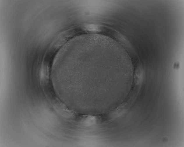 X0000112850330200909111451