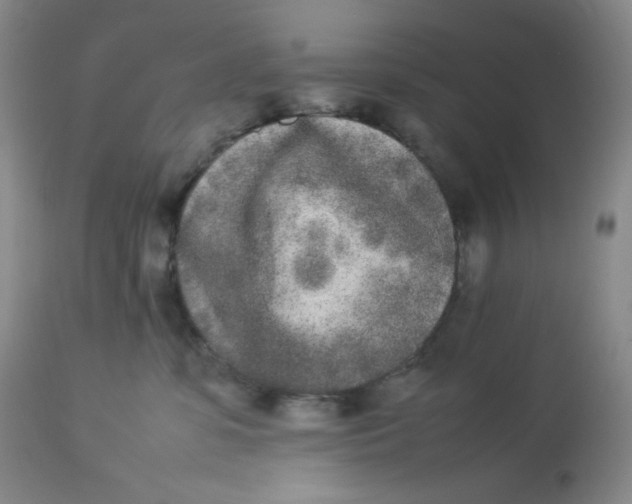 X0000112850331200909111451