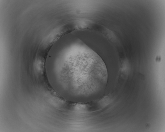 X0000112850332200909111451