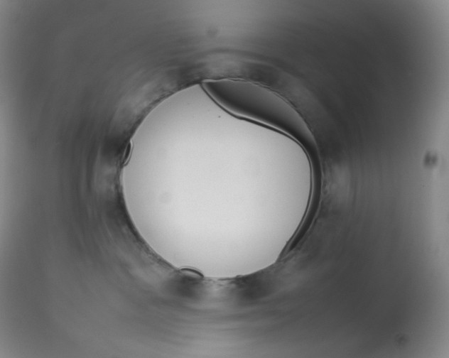 X0000112850333200909111451