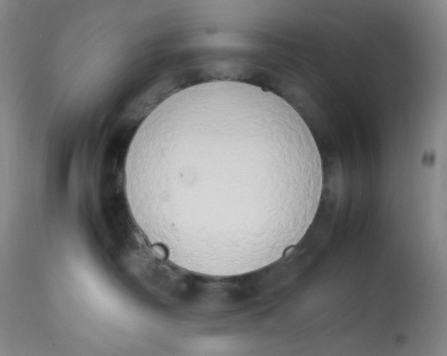 X0000112850334200909111451