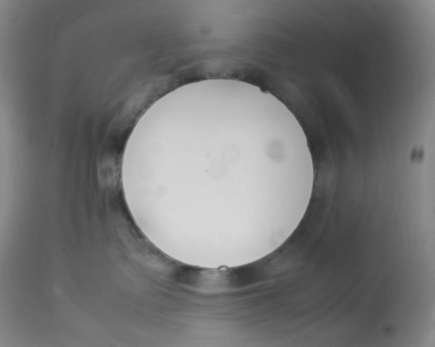 X0000112850335200909111451