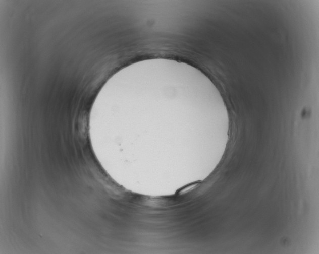 X0000112850336200909111451