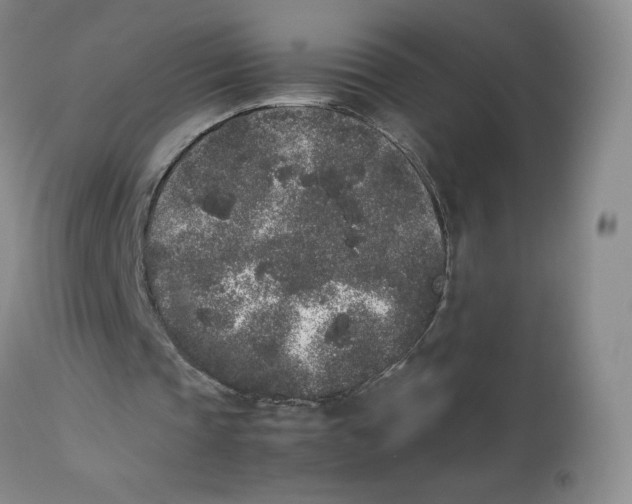 X0000112850337200909111450