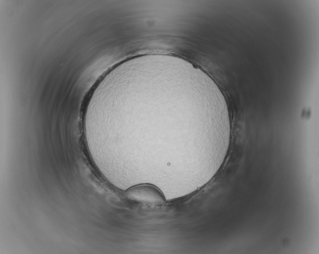 X0000112850338200909111450