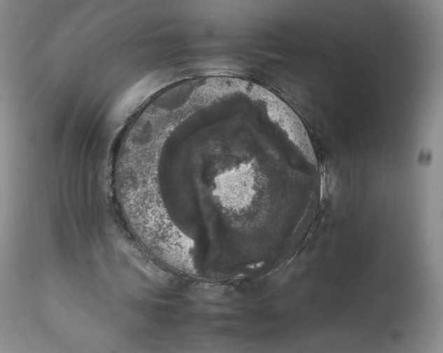 X0000112850339200909111450