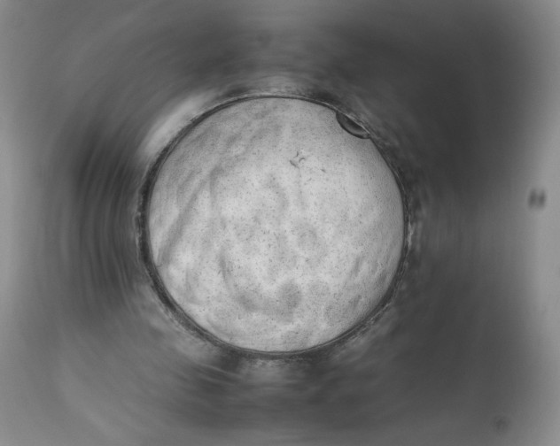 X0000112850341200909111450