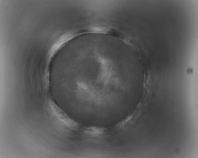 X0000112850343200909111450