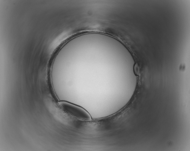 X0000112850344200909111450