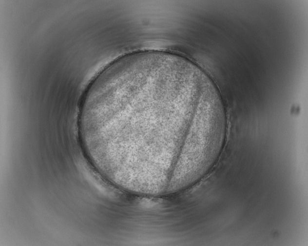 X0000112850346200909111450