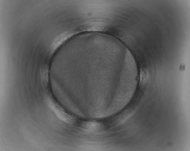 X0000112850348200909111450