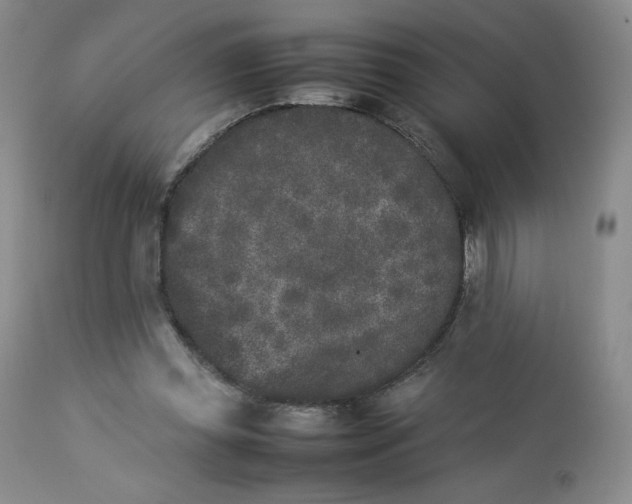 X0000112850349200909111450