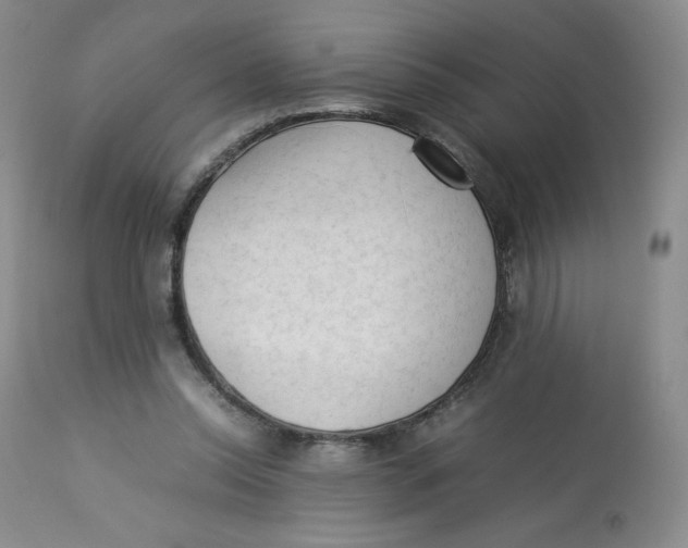 X0000112850350200909111450