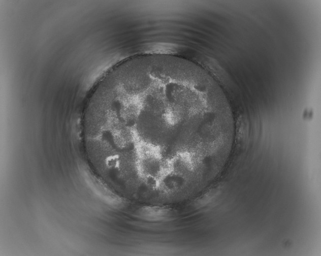 X0000112850351200909111450