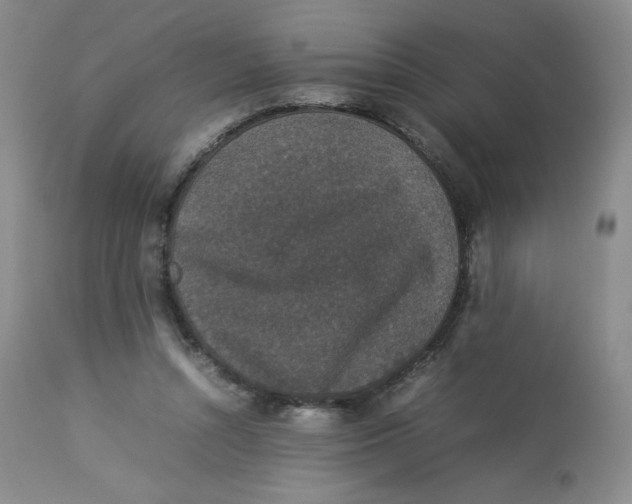 X0000112850352200909111450