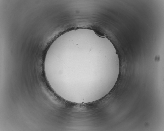 X0000112850354200909111450