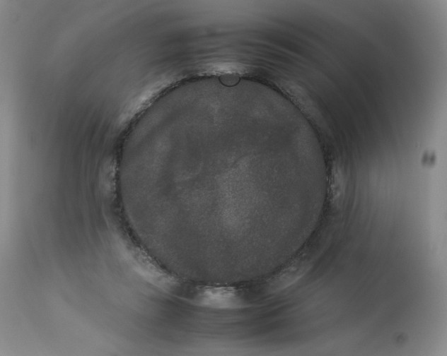 X0000112850355200909111450