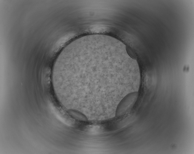 X0000112850356200909111451