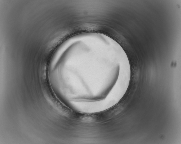 X0000112850358200909111451