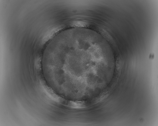 X0000112850359200909111451