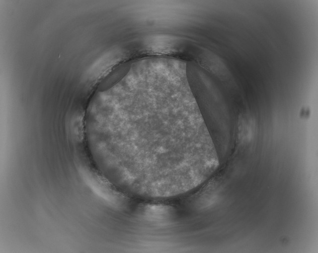 X0000112850360200909111451