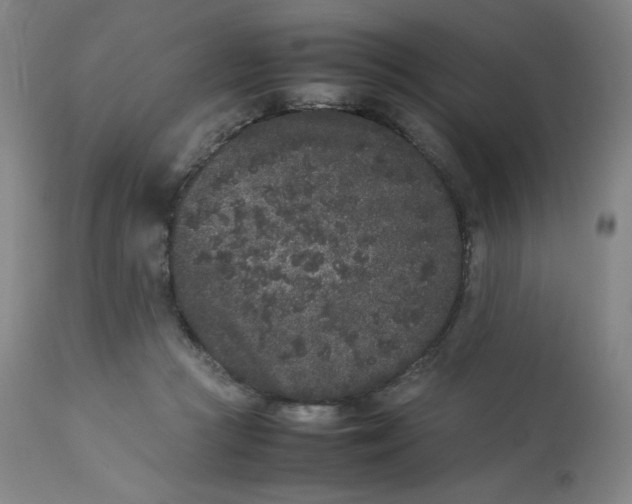 X0000112850361200909111451