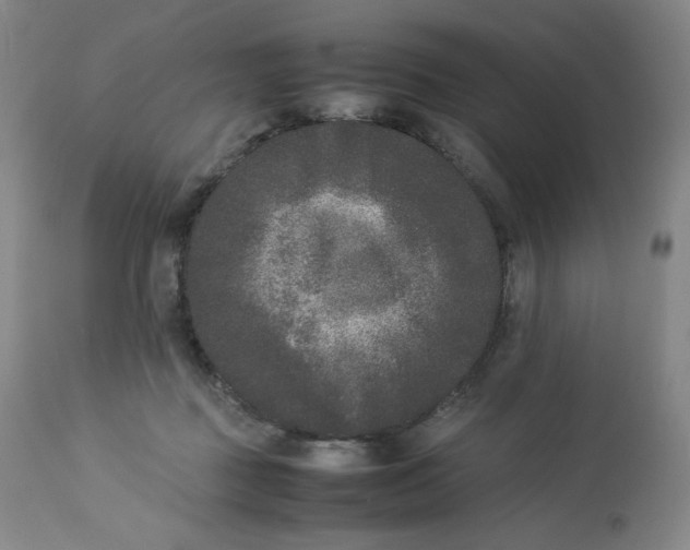 X0000112850363200909111451