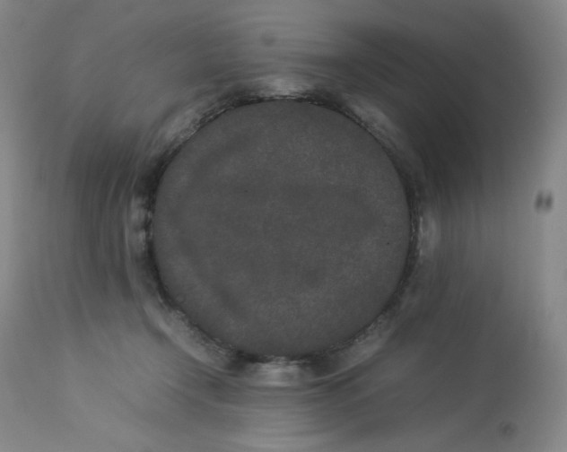 X0000112850366200909111451