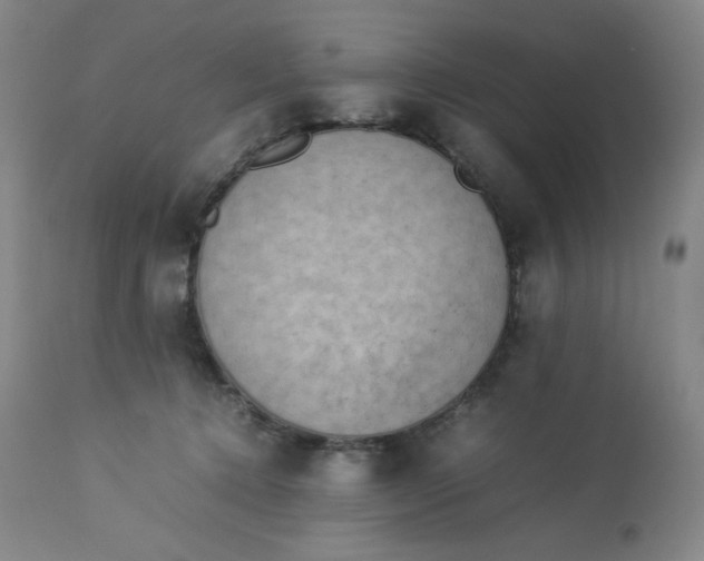 X0000112850368200909111451