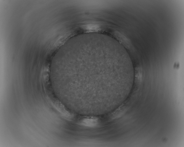 X0000112850369200909111451