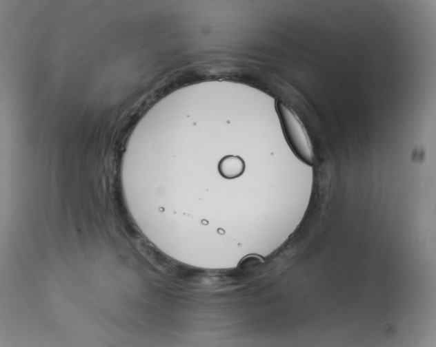 X0000112850372200909111451